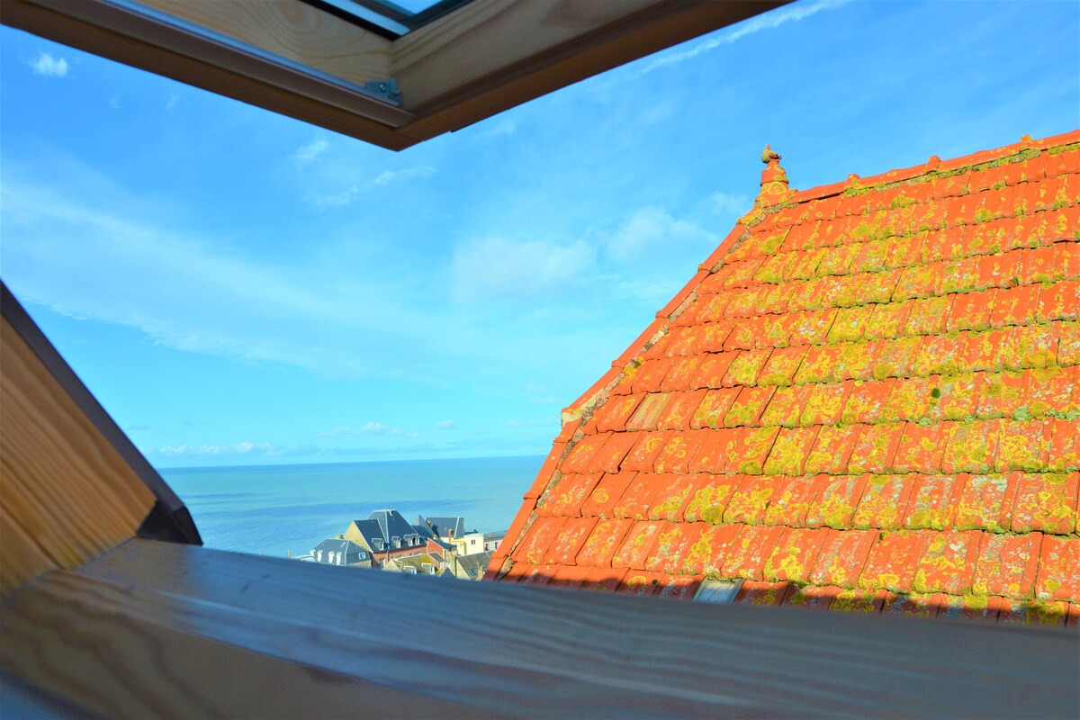 Vue sur la Baie de Somme depuis le velux